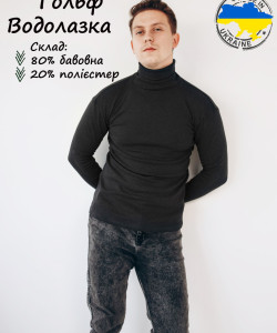 Гольф-водолазка утеплений колір чорний, гольф утеплений, гольф зимовий